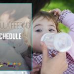 Formula feeding schedule featured image