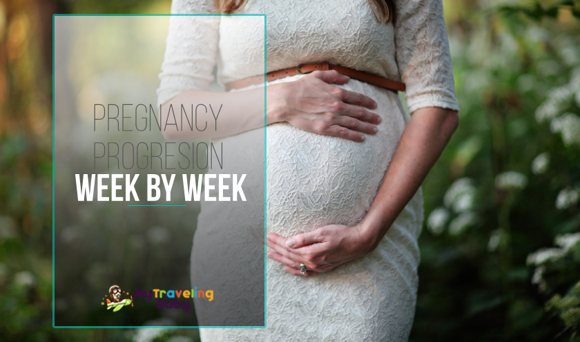 Pregnancy progresion week by week featured image
