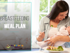 Breastfeeding Meal Plan