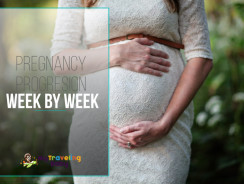 Pregnancy Progression: Week by Week Pregnancy